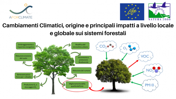 LIFE AforClimate: Cambiamenti Climatici, origine e principali impatti a livello locale e globale sui sistemi forestali