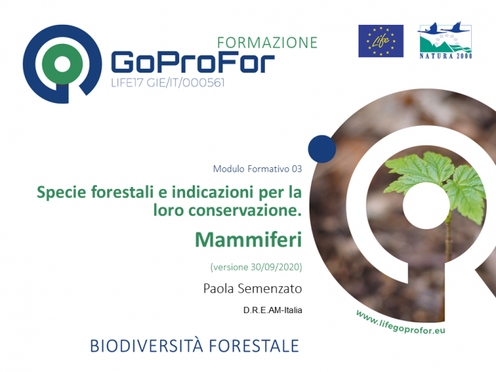 Specie forestali e indicazioni per la loro conservazione: mammiferi